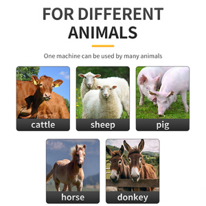 Medidor <span class=keywords><strong>de</strong></span> Ovulación Veterinario, Detector <span class=keywords><strong>de</strong></span> Celo Animal para Cerdo/Vaca/Oveja/Caballo/Burro - Product Image 6