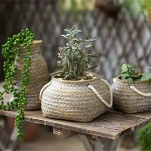 Wholesale high quality basket shaped matte indoor outdoor decorative concrete pots plants for garden decoration
