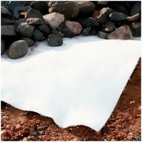 Tela Geotextil No Tejida, Plástico PP Ecológico Industrial para Agricultura, Drenaje, Control de Malezas y Separación de Suelos