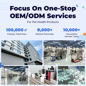 Professionale porta a porta Pet corriere servizio sicuro e legale <span class=keywords><strong>trasporto</strong></span> di <span class=keywords><strong>animali</strong></span> per cani gatti via oceano - Product Image 5