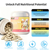 Suplemen Nutrisi Hewan Peliharaan Kunyah Lembut Grosir Pabrik 18 in 1 Multivitamin untuk Anjing & Kucing Suplemen Kesehatan Vitamin