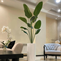 Berbagai Jenis Pot Bunga - Pot Plastik/Keramik/Beton untuk Rumah Dalam Ruangan, Taman Luar Ruangan & Balkon - Tahan Lama