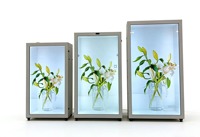 YINGTOUCH - Vitrina con Pantalla LCD Transparente Holográfica 3D de 55 Pulgadas, Máquina Publicitaria Táctil Vertical, Persona Digital Virtual
