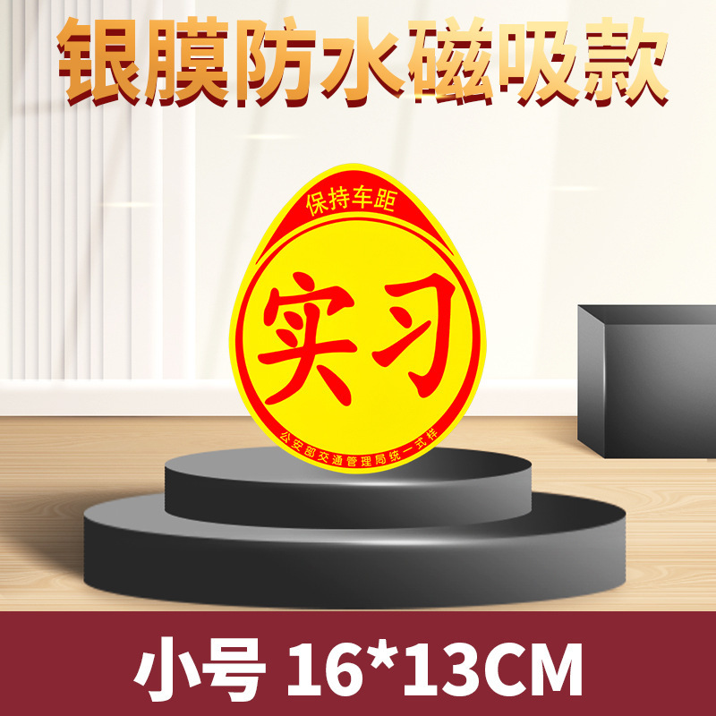 Silver-coated waterproof magnetic version (small)