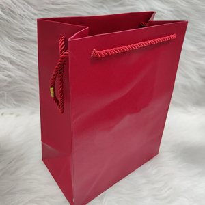 Bolsa de papel roja para regalo, bolsa de compras con asa de cuerda, bolsa para boutique de joyería, bolsa de compras roja, bolsa de regalo roja para boutique - Product Image 4