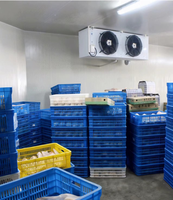 Unidad compresora de refrigeración de cámara frigorífica de gran capacidad para almacenamiento de frutas y verduras frescas