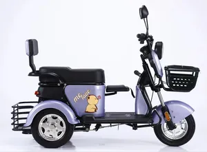 Best Selling Popular E Bike 600w 60v Electric Tricycle Motorcycle With Lead Acid Battery 3 Wheel Scooter For Adult