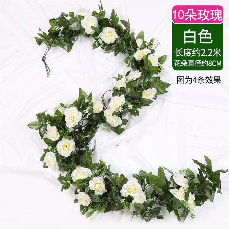 10 rose bianche 1