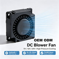 Ventilateur soufflant CC OEM ODM 30x30x10mm 5V 12V 24V haute pression à roulement hydraulique/à billes pour le refroidissement de petits appareils