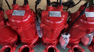 Electric Vertical Submersible Water Supply Pump with <b>Float</b> Switch - Product Image 4