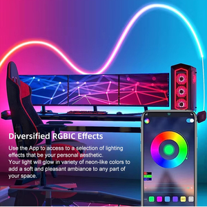 Prix de gros IP65 24V Smart RGB <span class=keywords><strong>Neon</strong></span> Lights Décoration Éclairage avec télécommande vocale Flexible Rainbow <span class=keywords><strong>Neon</strong></span> Lamp - Product Image 1