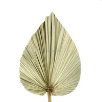 Dried Palm Leaves for Wedding Boho Decoration
