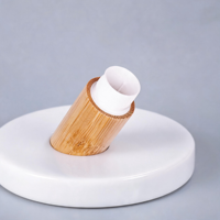 Tube à lèvres transparent en bambou avec applicateur en métal argenté – Idéal pour les fêtes, le bureau et les voyages – Emballage vide pour rouge à lèvres