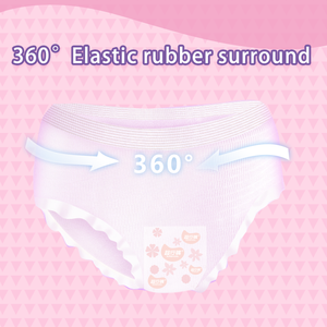 Culottes menstruelles jetables pour femmes, culottes de règles pour femmes, culottes menstruelles pour filles adultes, culottes jetables pour les règles - Product Image 4