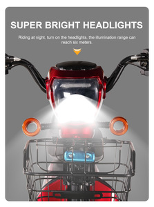 Vélo électrique adulte haute puissance 500W 48V, <span class=keywords><strong>vitesse</strong></span> maximale de 45 km/h - Product Image 3