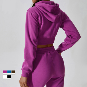 Vente en gros de vêtements de <span class=keywords><strong>sport</strong></span> pour femmes avec fermeture éclair complète, <span class=keywords><strong>manteau</strong></span> de gym épais et <span class=keywords><strong>chaud</strong></span>, sweats courts à capuche en molleton - Product Image 2