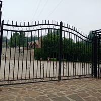 Noir élégant et belle porte en fer forgé maison moderne conceptions de haute qualité portes