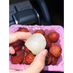 Fresco chino Litchi lichi de frutas para <span class=keywords><strong>la</strong></span> exportación - Product Image 4