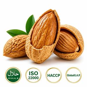 Almendras Enteras Crudas Naturales Premium, Snack <span class=keywords><strong>de</strong></span> Frutos Secos, Ingrediente para Repostería, Leche, Mantequilla, Venta al por Mayor, Exportación a Granel, Alto Contenido <span class=keywords><strong>de</strong></span> Proteínas, Grasas Saludables - Product Image 1