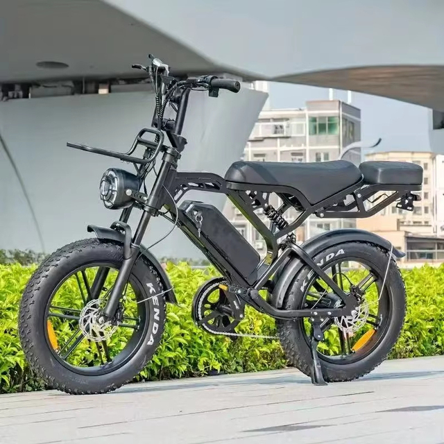 OEM Brand High Quality Chinese Wholesales Adult City Electric Bicycle Steel Frame Rear Hub Motor Electronic Digital Brushless