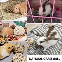 Maison en herbe pour cochon d'Inde avec jouets à mâcher, cachette naturelle pour petit lapin, cabane en herbe pour petits animaux avec jouets pour lapin, hamster, rat
