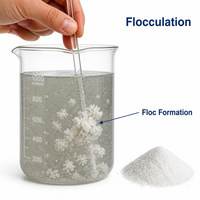 Floculant Anionique pour le Lavage du Charbon