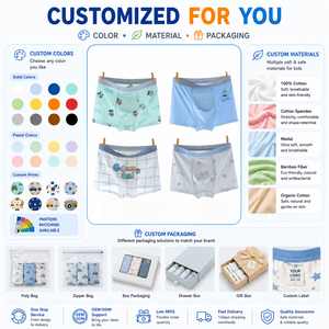 Caleçons Boxers Personnalisés en Soie Glacée pour Garçons, Ultra-Fins, Respirants et Doux, pour l'Été, pour Tout-Petits et Enfants - Product Image 1
