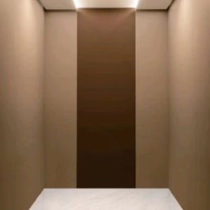 Ascenseur de luxe pour passagers de 600 kg, porte à ouverture double face, 6 personnes, traction, ascenseur commercial pour hôtels, appartements, OTIS GEN2 - Product Image 1