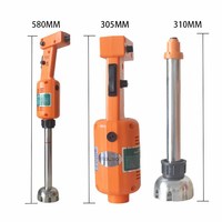 Mixeur Plongeant Professionnel XEOLEO Électrique Démontable en Acier Inoxydable, Batteur Mélangeur pour Jus et Préparations Alimentaires