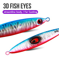 Leurre de pêche en métal imprimé pour lancer longue distance 40g-80g, plaque en fer, leurre dur artificiel pour la pêche au fond de carpe en eau douce