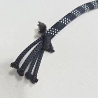 Corde d'escalade en nylon tressé Corde de laisse de chien en polyester Corde statique en nylon haute résistance extérieure 8mm 10mm 14mm