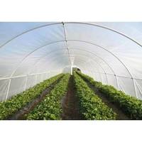 Vente directe d'usine en gros : Film agricole en polyéthylène (PE/PO) jaune, bleu, blanc, transparent, durée de vie 1 à 5 ans, pour serres