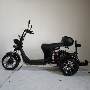 Trottinettes électriques 2026 en promotion – Tricycle électrique 2000W avec <span class=keywords><strong>roues</strong></span> en aluminium de 10 pouces pour passagers - Product Image 2