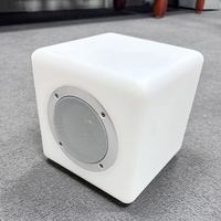 Coque de haut-parleur de basses pleine fréquence à cinq trous en plastique moulé par rotation personnalisée