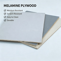 Panneau de contreplaqué mélaminé imperméable 4x8 12mm 15mm 18mm, qualité E0, pour meubles de maison et de bureau