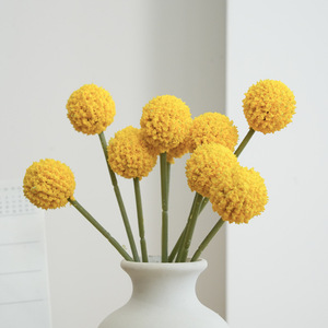 Fleur artificielle en boule dorée Craspedia Globosa, fleur artificielle <span class=keywords><strong>Billy</strong></span> Ball pour la décoration de mariage et de fête - Product Image 3