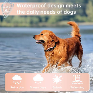 Collier <span class=keywords><strong>anti</strong></span>-aboiement à <span class=keywords><strong>puce</strong></span> AI pour petits <span class=keywords><strong>et</strong></span> grands chiens Smart Waterproof IP67 Rechargeable <span class=keywords><strong>Anti</strong></span> Faux Déclenchement Caractéristique Plastique rose - Product Image 4