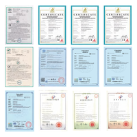 Système de contrôle PLC haute performance, indice de sécurité SIL2, IP54, verrouillage hybride, certification CE/ pour utilisation industrielle, gaz dangereux