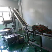 Halfautomatische productielijn voor het mengen en afvullen van biologisch appelsappoeder
