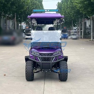 Carrito de Golf Todoterreno Eléctrico, Vehículo de Turismo de 6 Plazas en Venta - Product Image 3