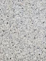 Dalles de granit personnalisées en gros, durables, résistantes à la corrosion par le feu, pour escaliers, salles de bain, utilisées pour les sols des halls d'hôtels