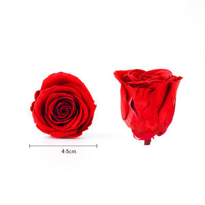 Tête de Rose éternelle Rose immortelle séchée artificielle préservée boîte-cadeau carrée Occasion de Noël tête Roses fleur matériel - Product Image 5