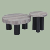 Ensemble de tables basses modernes, durables et luxueuses, en MDF écologique, style minimaliste, rondes, pour le salon