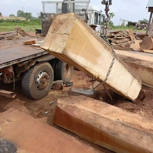 Africa di prima classe <span class=keywords><strong>Iroko</strong></span> per la realizzazione di assi di pavimentazione e porta dalla Nigeria - Product Image 3