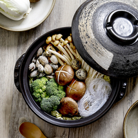 Grande cocotte japonaise en céramique isolée écologique de 2,8 litres, résistante aux hautes températures, idéale pour mijoter des soupes et des fruits de mer à la maison