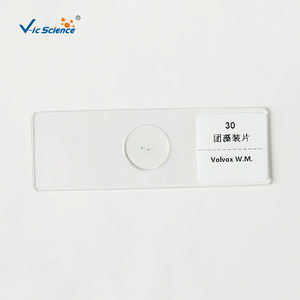 Set di Scatole in Legno o Plastica per Zoologia, Botanica, Microscopi, Microbiologia, Vetrini Preparati per l'Educazione Medica - Product Image 4