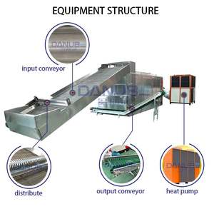 Customer Design Cassava Slicing Cleaning and Drying Production Line Mesh Belt Cassava Slice Dryer - Product Image 4