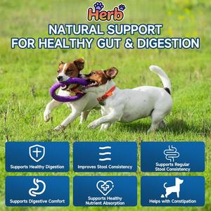 Golosinas Masticables Probióticas de Marca Privada OEM/ODM para el Cuidado de la Salud del Sistema Inmunológico de las Mascotas, Golosinas Masticables de Calabaza para Perros - Product Image 3