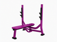 Machine à Squat Professionnelle à Charge de Plaques en Acier pour Entraînement des Cuisses, Équipement de Musculation Commercial pour Salle de Sport, Fourniture Directe d'Usine en Gros