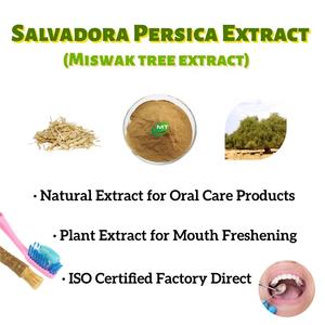 ISO Halal Kosher Miswak Tree Extract Boa Qualidade <span class=keywords><strong>Salvadora</strong></span> <span class=keywords><strong>Persica</strong></span> Stem Extract para Oral Care - Product Image 2